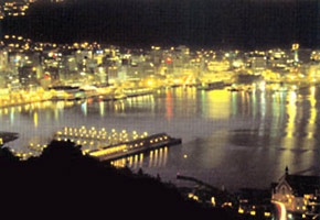 Wellington At Night